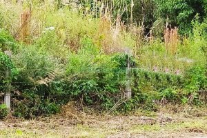 Terreno com 411m², no bairro Cinqüentenário em Caxias do Sul para Alugar