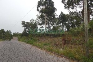 Terreno com 14700m², no bairro Forqueta em Caxias do Sul para Alugar