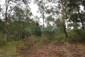 Terreno com 14700m², no bairro Forqueta em Caxias do Sul para Alugar