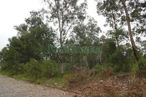 Terreno com 14700m², no bairro Forqueta em Caxias do Sul para Alugar