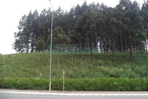 Terreno com 1500m², no bairro Centro em Flores da Cunha para Alugar
