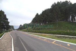 Terreno com 1500m², no bairro Centro em Flores da Cunha para Alugar