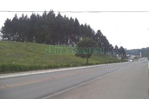 Terreno com 1500m², no bairro Centro em Flores da Cunha para Alugar