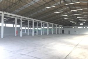 Pavilhão com 3000m², no bairro Cidade Nova em Caxias do Sul para Alugar