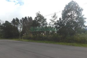 Terreno com 2250m², no bairro Desvio Rizzo em Caxias do Sul para Alugar