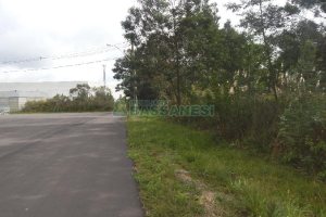 Terreno com 2250m², no bairro Desvio Rizzo em Caxias do Sul para Alugar
