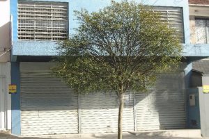 Loja com 300m², no bairro Centro em Caxias do Sul para Alugar