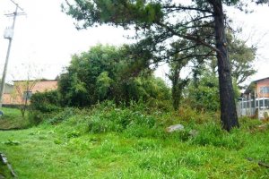 Terreno, no bairro Pioneiro em Caxias do Sul para Comprar