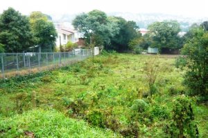 Terreno, no bairro Pioneiro em Caxias do Sul para Comprar