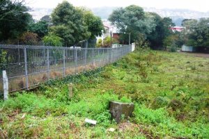 Terreno, no bairro Pioneiro em Caxias do Sul para Comprar