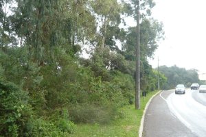 Terreno, no bairro Sanvitto em Caxias do Sul para Comprar