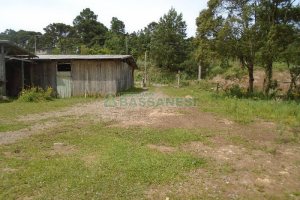 Terreno com 7500m², no bairro Ana Rech em Caxias do Sul para Alugar ou Comprar
