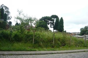 Terreno com 500m², no bairro Madureira em Caxias do Sul para Comprar