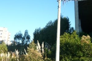 Terreno, no bairro Sanvitto em Caxias do Sul para Comprar