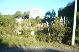 Terreno, no bairro Sanvitto em Caxias do Sul para Comprar