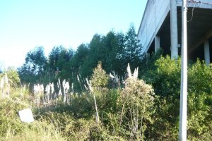 Terreno, no bairro Sanvitto em Caxias do Sul para Comprar