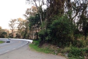 Terreno, no bairro Pedancino em Caxias do Sul para Comprar