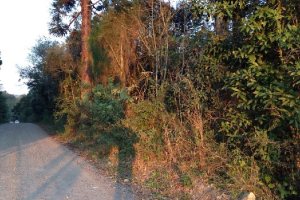 Terreno, no bairro Pedancino em Caxias do Sul para Comprar