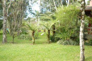 Chácara com 320m², 3 dormitórios, 4 vagas, no bairro Pedancino em Caxias do Sul para Comprar