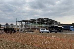 Terreno com 18000m², no bairro Sagrada Família em Caxias do Sul para Alugar