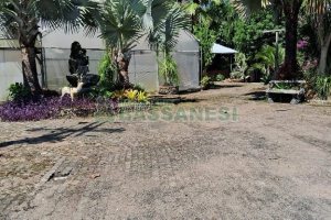 Terreno com 1950m², no bairro Vila Cristina em Caxias do Sul para Alugar