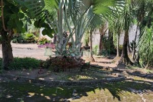 Terreno com 1950m², no bairro Vila Cristina em Caxias do Sul para Alugar