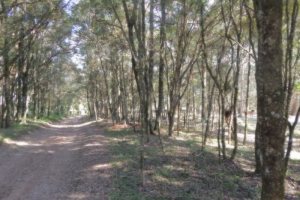 Terreno, no bairro Pedancino em Caxias do Sul para Comprar