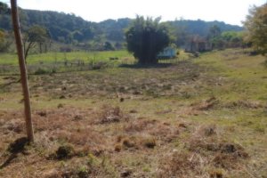 Terreno, no bairro Pedancino em Caxias do Sul para Comprar