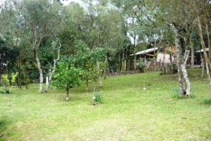 Chácara com 130m², 2 dormitórios, 2 vagas, no bairro Monte Bérico em Caxias do Sul para Comprar