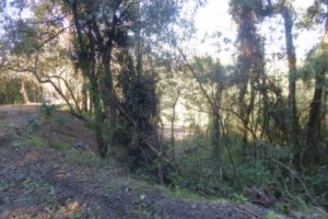 Terreno, no bairro Ana Rech em Caxias do Sul para Comprar