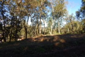 Terreno, no bairro Ana Rech em Caxias do Sul para Comprar