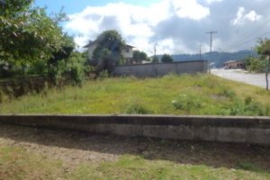 Terreno com 350m², no bairro Diamantino em Caxias do Sul para Alugar ou Comprar