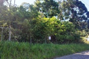 Terreno, no bairro Vila Verde em Caxias do Sul para Comprar