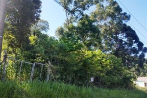 Terreno, no bairro Vila Verde em Caxias do Sul para Comprar