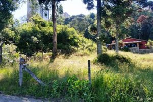 Terreno, no bairro Vila Verde em Caxias do Sul para Comprar