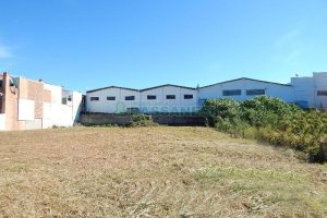 Terreno com 1250m², no bairro Bela Vista em Caxias do Sul para Alugar ou Comprar