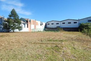 Terreno com 1250m², no bairro Bela Vista em Caxias do Sul para Alugar ou Comprar