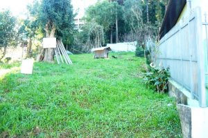 Terreno com 1460m², no bairro Petrópolis em Caxias do Sul para Comprar