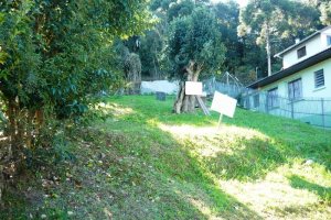 Terreno com 1460m², no bairro Petrópolis em Caxias do Sul para Comprar