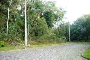 Terreno, no bairro Ana Rech em Caxias do Sul para Comprar