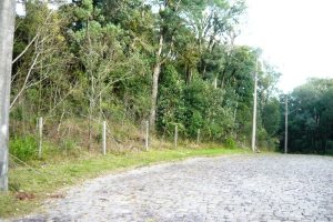 Terreno, no bairro Ana Rech em Caxias do Sul para Comprar