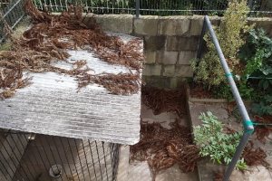 Casa com 390m², 6 dormitórios, 3 vagas, no bairro Universitário em Caxias do Sul para Comprar