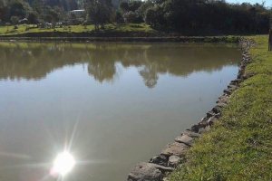 Chácara, no bairro Forqueta em Caxias do Sul para Comprar