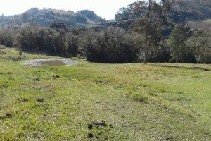 Chácara, no bairro Forqueta em Caxias do Sul para Comprar
