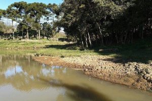 Chácara, no bairro Forqueta em Caxias do Sul para Comprar
