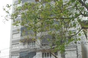 Apartamento com 87m², 2 dormitórios, 1 vaga, no bairro Rio Branco em Caxias do Sul para Alugar