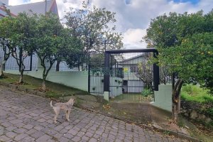 Casa com 172m², 3 dormitórios, 2 vagas, no bairro Charqueadas em Caxias do Sul para Comprar