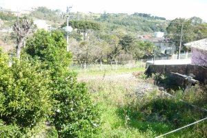 Casa com 76m², 3 dormitórios, 1 vaga, no bairro Colina do Sol em Caxias do Sul para Comprar