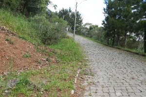 Terreno, no bairro São Luiz em Caxias do Sul para Comprar