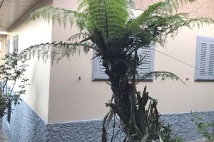 Casa com 160m², 3 dormitórios, no bairro Rio Branco em Caxias do Sul para Comprar